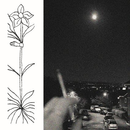 A Soft And Gatherable Star - Vinile LP di Jabu