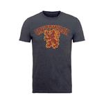 T-Shirt Unisex Tg. XL Harry Potter. Gryffindor Sport