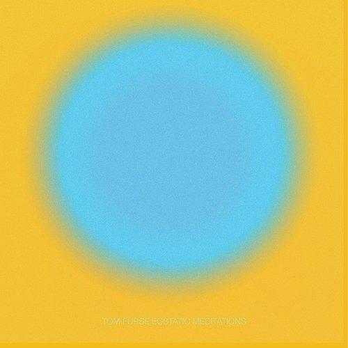 Ecstatic Meditations - Vinile LP di Tom Furse