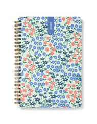 Agenda accademica 2025-2026 Spring Valley A5 Settimanale Verde Acqua  (18 mesi) - 21 x 14,8 cm