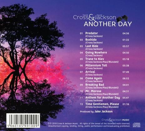 Another Day (Digipack) - CD Audio di David Jackson,David Cross - 2