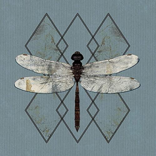 Close - CD Audio di Ohhms