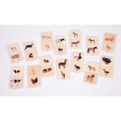 Associazioni Mamme-Cuccioli Domestici