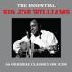 Essential - CD Audio di Big Joe Williams