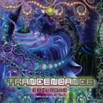 Trancendance Epilogue