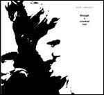 Through a Crooked Sun - CD Audio di Rich Robinson