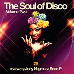 The Soul of Disco vol.2