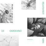 Relativiteit Van De Omgeving