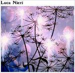 Luca Nieri