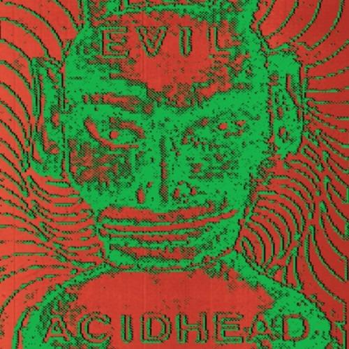 In the Name of All That Is Unholy - CD Audio di Evil Acidhead