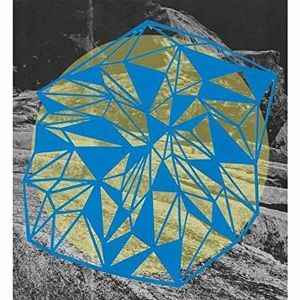 Field Theory - Vinile LP di Broads