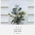 Tiny Dots (DVD)