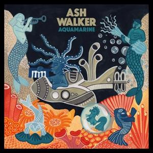 CD Aquamarine Ash Walker