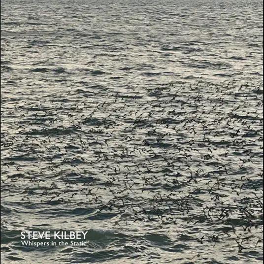 Whispers In The Attic - CD Audio di Steve Kilbey