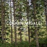 Munro - CD Audio di Coquin Migale