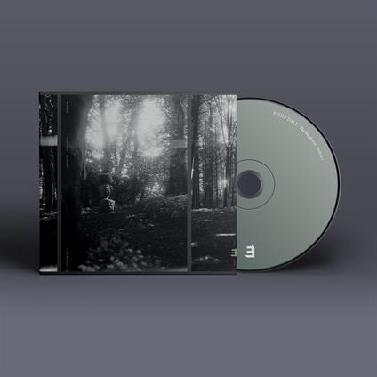 The Wayfarers - CD Audio di Eyolf Dale