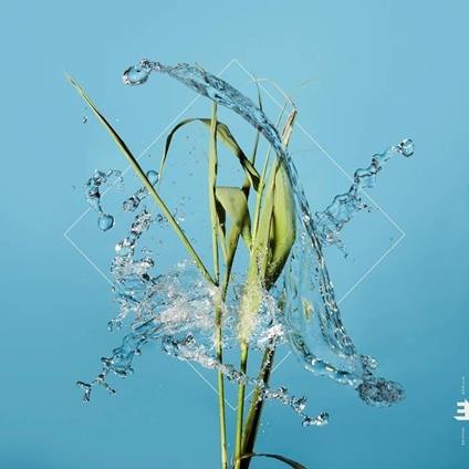 Stream - CD Audio di Fergus McCreadie