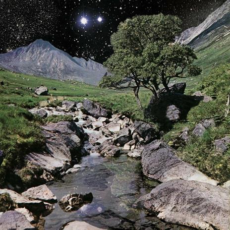 The Beta Band (Deluxe Edition) - Vinile LP di Beta Band