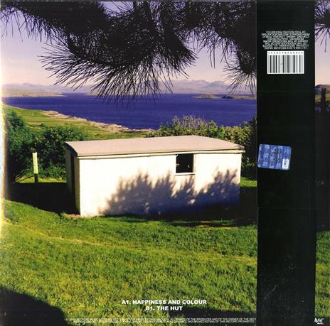 The Beta Band (Deluxe Edition) - Vinile LP di Beta Band - 2