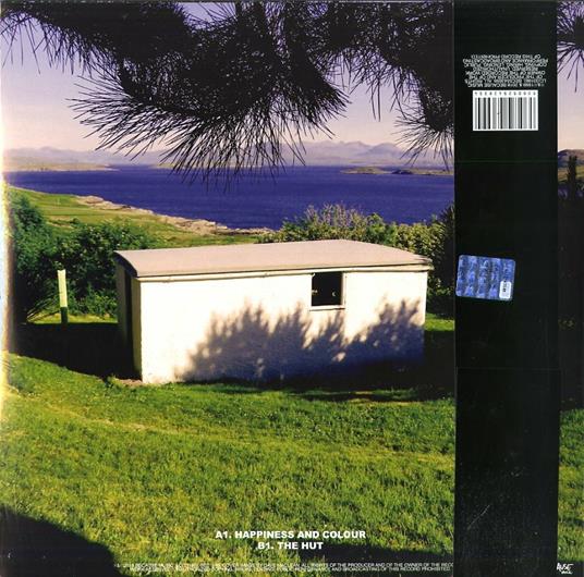 The Beta Band (Deluxe Edition) - Vinile LP di Beta Band - 2