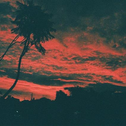 Aliso - Vinile LP di Malena Zavala