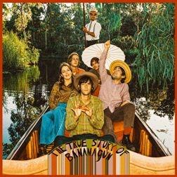 The True Story of Bananagun - Vinile LP di Bananagun