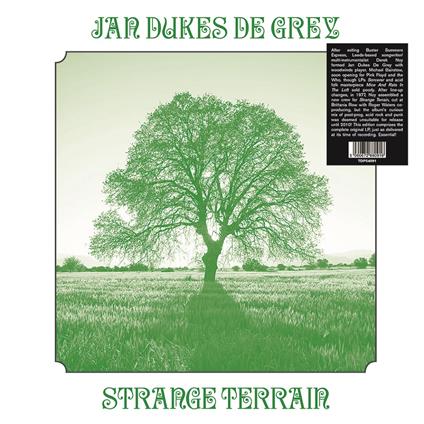 Strange Terrain - Vinile LP di Jan Dukes De Grey