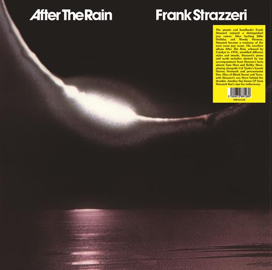 After The Rain - Vinile LP di Frank Strazzeri
