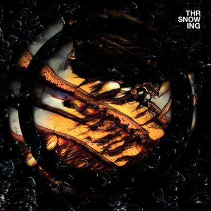 Snow Dragons (Marble Orange Vinyl) - Vinile LP di Throwing Snow