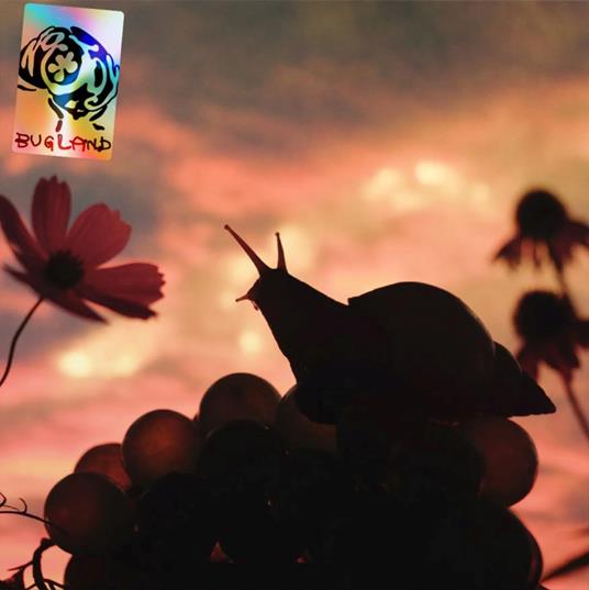 Bugland (Exoskeleton Blue Vinyl) - Vinile LP di No Joy