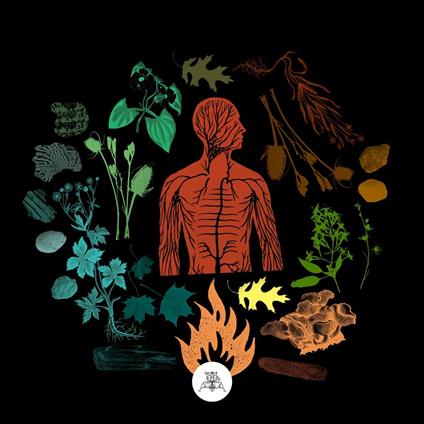 Bear Creek - CD Audio di Camp of Wolves