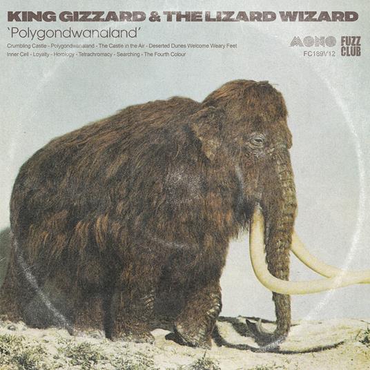 Polygondwanaland (Mono) - Vinile LP di King Gizzard & the Lizard Wizard