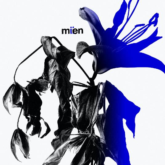 Miien - CD Audio di Mien