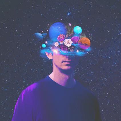 Luminous - Vinile LP di Fred V