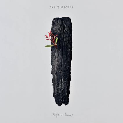 Fragile As Humans - Vinile LP di Emily Barker