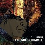Hello Mr.Schimmel