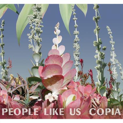 Copia - Vinile LP di People Like Us