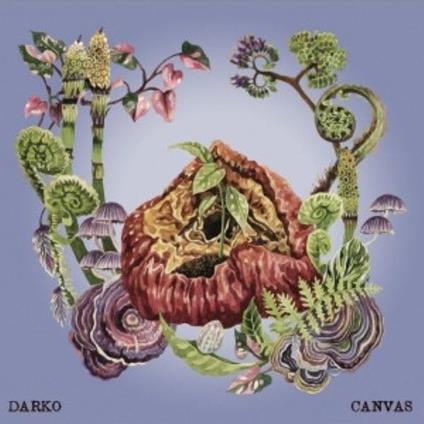 Canvas - CD Audio di Darko