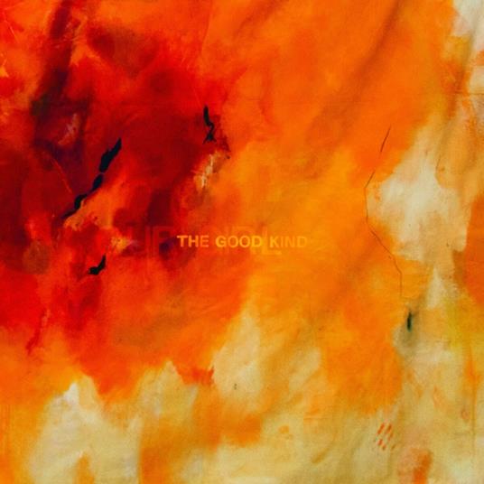 The Good Kind - CD Audio di Our Girl