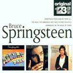 The Wild the Innocent and the e Street Shuffle