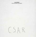 Cosa Succederà Alla Ragazza C.S.A.R.