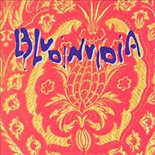 Bludinvidia - CD Audio di Bludinvidia