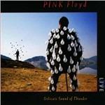 Delicate Sound of Thunder (Digipack)