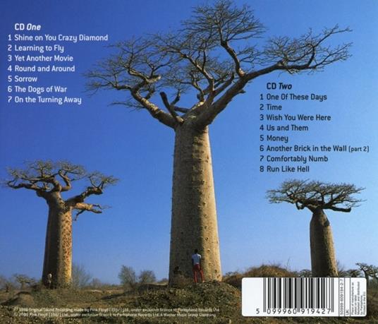 Delicate Sound of Thunder (Digipack) - CD Audio di Pink Floyd - 2