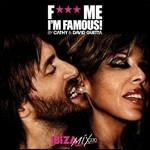 F*** Me I'm Famous! (Ibiza Mix 2010)