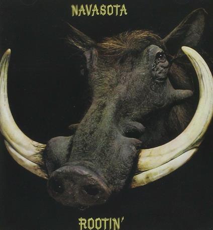 Rootin' - CD Audio di Navasota