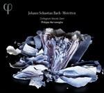 Mottetti - CD Audio di Johann Sebastian Bach,Philippe Herreweghe,Collegium Vocale Gent