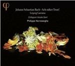 Ach Susser Trost! Cantate di Lipsia del 1723 - CD Audio di Johann Sebastian Bach,Philippe Herreweghe,Collegium Vocale Gent