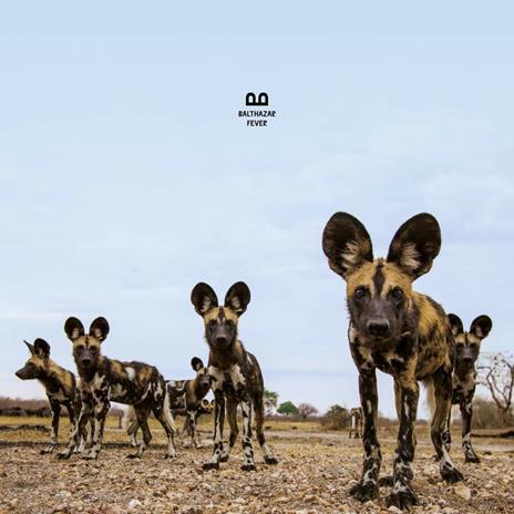 Fever - CD Audio di Balthazar