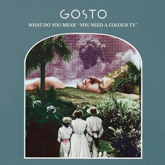 What Do You Mean You Need a Colour TV - CD Audio di Gosto